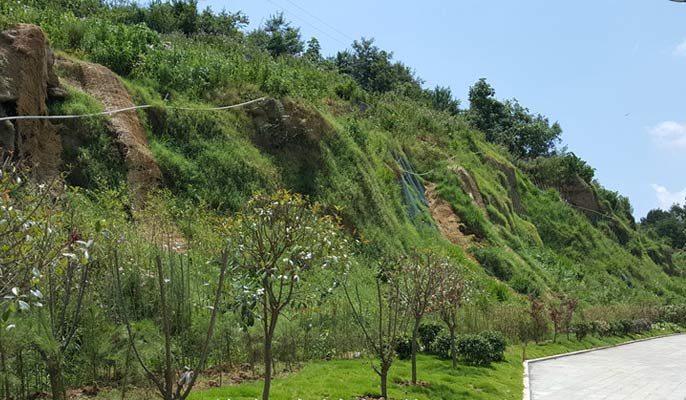 厚層基材邊坡綠化施工工藝