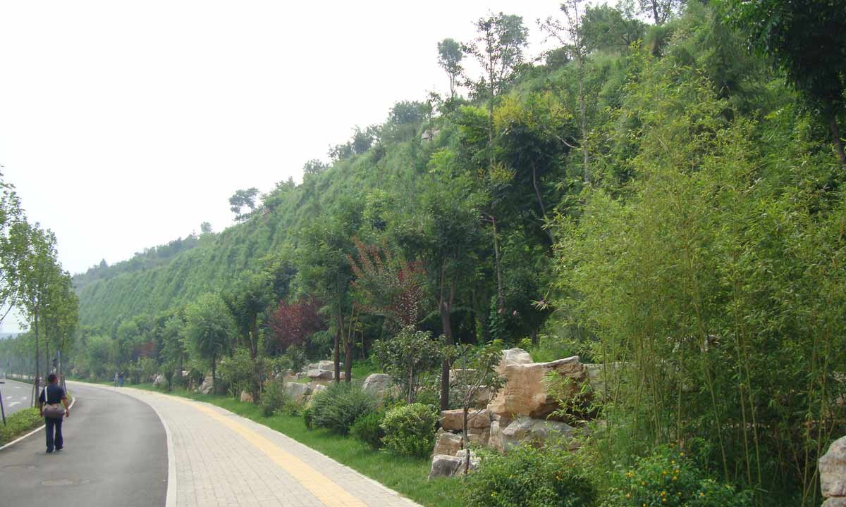 濟南奧體中心邊坡復綠工程
