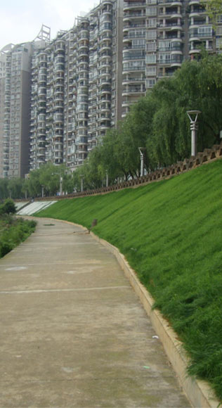 河道及庫區邊坡整治及復綠
